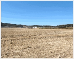  2025Ÿ��10378  ����