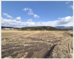  2025Ÿ��10378  ����