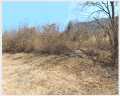  2025Ÿ10398  ֽ ܵ ԽǸ 114-36      (1)