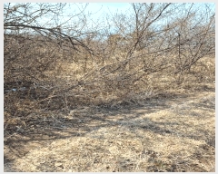  2025Ÿ10398  ֽ ܵ ԽǸ 114-36      (1)