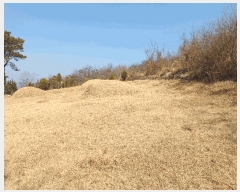  2025Ÿ10398  ֽ ܵ ԽǸ 114-36      (1)