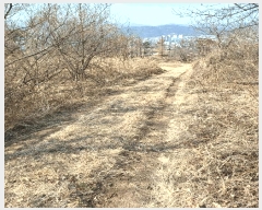  2025Ÿ10398  ֽ ܵ ԽǸ 114-36      (1)