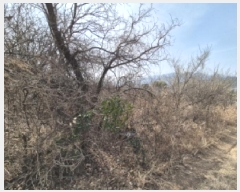  2025Ÿ10398  ֽ ܵ ԽǸ 114-36      (1)