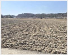  2025Ÿ10418  ֽ  帮 252-2      ()