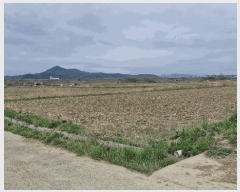  2025Ÿ��10446 ��� ���ֽ� �Ȱ��� ���긮 477      ����(��)���