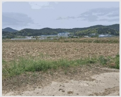  2025Ÿ��10446 ��� ���ֽ� �Ȱ��� ���긮 477      ����(��)���