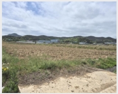  2025Ÿ��10446 ��� ���ֽ� �Ȱ��� ���긮 477      ����(��)���