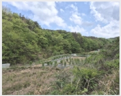  2025Ÿ��10462 ��� ���ֽ� �糲�� �ⱸ�� 264-2      ����(��)���