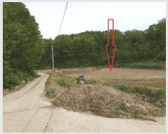  2025Ÿ10474  ֽ  󱸸 1185      ()