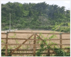  2025Ÿ10474  ֽ  󱸸 1185      ()