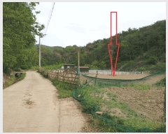  2025Ÿ10474  ֽ  󱸸 1185      ()