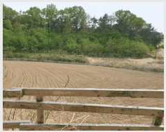  2025Ÿ10474  ֽ  󱸸 1185      ()