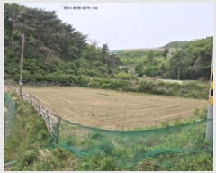  2025Ÿ10474  ֽ  󱸸 1185      ()