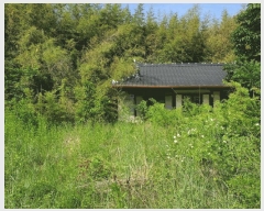  2025Ÿ��10490 ��� ���ֽ� ����� ������ 323      ����(����)���