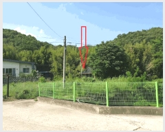  2025Ÿ��10490 ��� ���ֽ� ����� ������ 323      ����(����)���