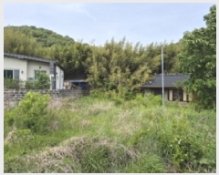  2025Ÿ��10490 ��� ���ֽ� ����� ������ 323      ����(����)���