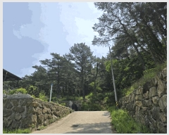  2025Ÿ��10522 ��� ���ֽ� ������ �ڴ޸� 629-7      �ٸ��ü�,�󰡰��