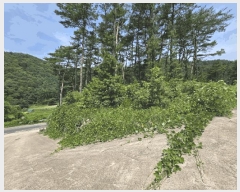  2025Ÿ��10522 ��� ���ֽ� ������ �ڴ޸� 629-7      �ٸ��ü�,�󰡰��