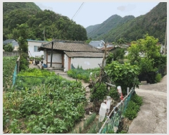  2025Ÿ10526  ֽ 糲 긮 593      ð