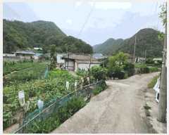  2025Ÿ10526  ֽ 糲 긮 593      ð