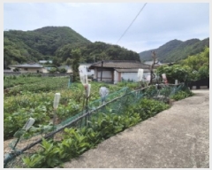  2025Ÿ10526  ֽ 糲 긮 593      ð