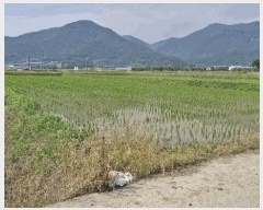  2025Ÿ10550  ֽ õ 𷮸 438-2      ()