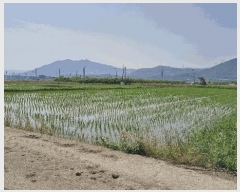  2025Ÿ10550  ֽ õ 𷮸 438-2      ()