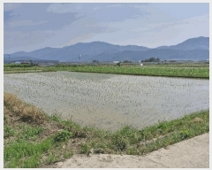  2025Ÿ10550  ֽ õ 𷮸 438-2      ()