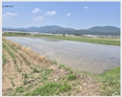  2025Ÿ10550  ֽ õ 𷮸 438-2      ()