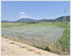  2025Ÿ10550  ֽ õ 𷮸 438-2      ()