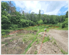  2025Ÿ10558  ֽ 糲 ż 239      ()