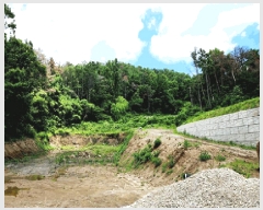  2025Ÿ10558  ֽ 糲 ż 239      ()