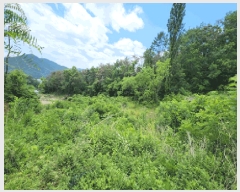  2025Ÿ10558  ֽ 糲 ż 239      ()