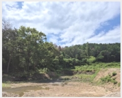  2025Ÿ10558  ֽ 糲 ż 239      ()