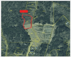  2025Ÿ10558  ֽ 糲 ż 239      ()