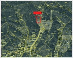  2025Ÿ10558  ֽ 糲 ż 239      ()