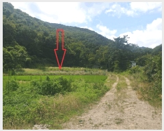  2025Ÿ��10598  ����