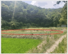  2025Ÿ��10598  ����