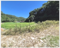  2025Ÿ��10598  ����