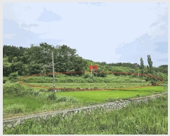  2025Ÿ��10602 ��� ���ֽ� õ�ϸ� ������ 566      ����(��)���