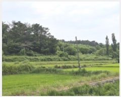  2025Ÿ��10602 ��� ���ֽ� õ�ϸ� ������ 566      ����(��)���