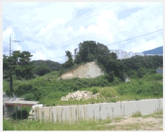  2025Ÿ��10626  �Ӿ߰��