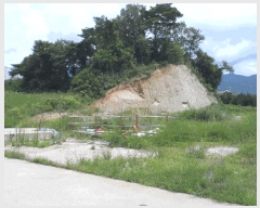  2025Ÿ��10626  �Ӿ߰��