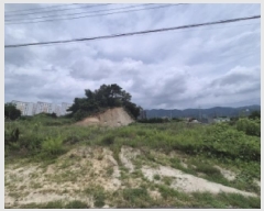  2025Ÿ��10626  �Ӿ߰��