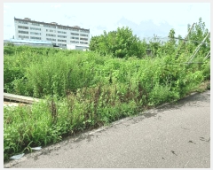  2025Ÿ��10630 ��� ���ֽ� ��õ�� ������ 20-3      ����(��)���