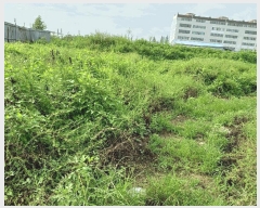  2025Ÿ��10630 ��� ���ֽ� ��õ�� ������ 20-3      ����(��)���