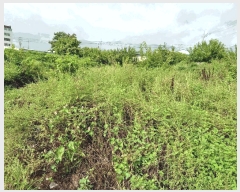  2025Ÿ��10630 ��� ���ֽ� ��õ�� ������ 20-3      ����(��)���