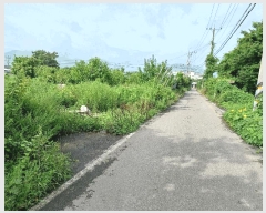  2025Ÿ��10630 ��� ���ֽ� ��õ�� ������ 20-3      ����(��)���