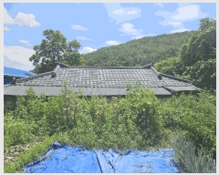  2025Ÿ��10634 ��� ���ֽ� ����� ������ 681      ���ð��