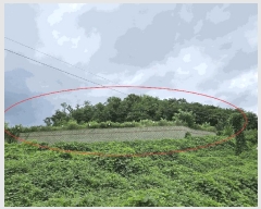  2025Ÿ��10650 ��� ���ֽ� �ܵ��� ���踮 950-1      ����(�Ӿ�)���